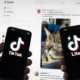 tiktok vs tiktok lite difference